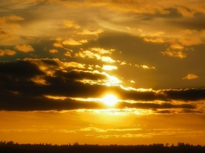 Фотовыставка "Мир сквозь объектив", приуроченная к Международному дню мира! 