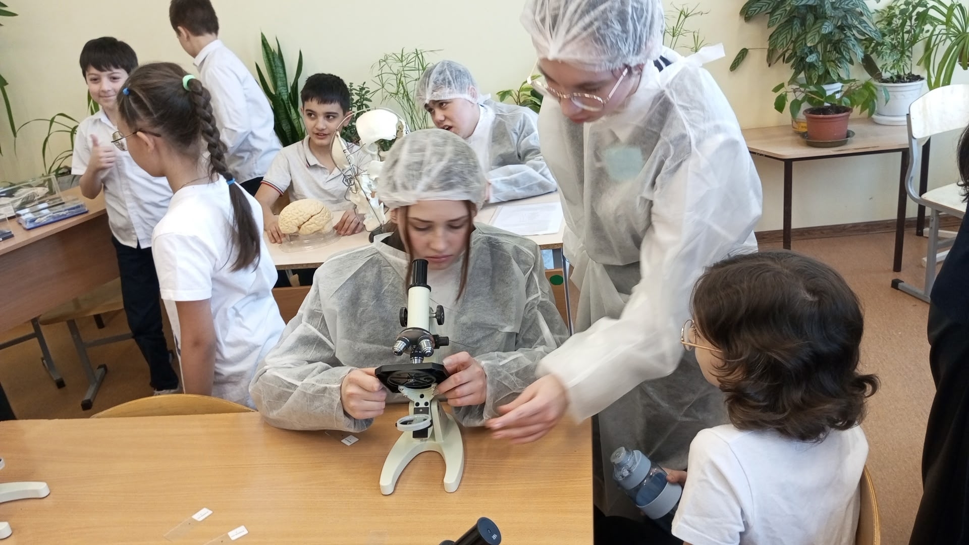 В мире биологии.