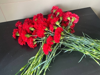 фото в цвете, мероприятие 